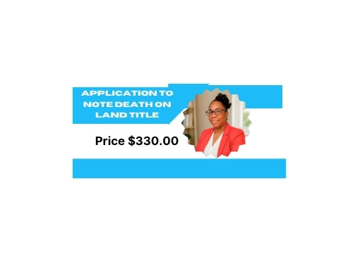 Paralegal and Professional Services