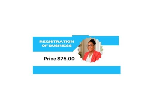Paralegal and Professional Services