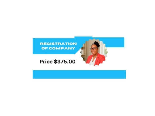 Paralegal and Professional Services